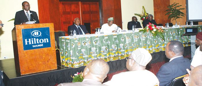 Lutte contre la désertification: plantons des arbres ! Lutte contre la désertification: plantons des arbres !