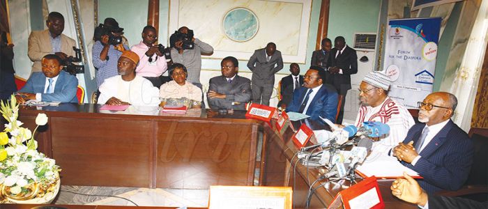 National Development: Cameroon’s Diaspora on Board