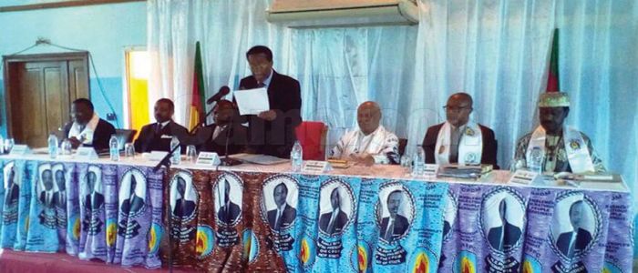 RDPC: les présidents de sections d’Afrique formés