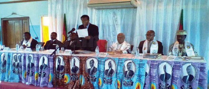 RDPC: les présidents de sections d’Afrique formés