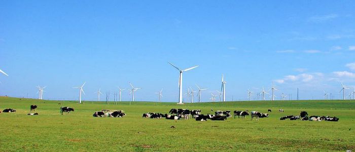 Inner Mongolia: China’s Non-negligible Economic Powerhouse Inner Mongolia: China’s Non-negligible Economic Powerhouse