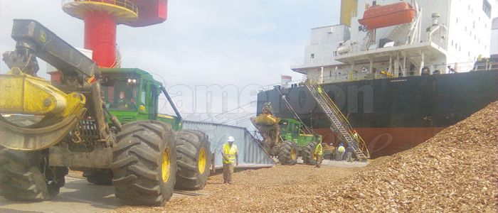 Port autonome de Kribi: premier chargement réussi Port autonome de Kribi: premier chargement réussi