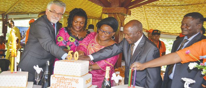 Food Security: IITA Cameroon Fetes Research Strides