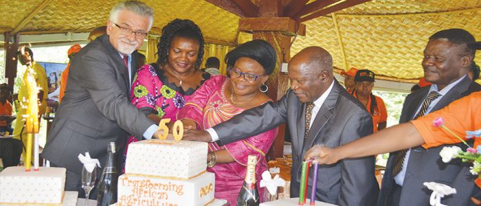 Food Security: IITA Cameroon Fetes Research Strides Food Security: IITA Cameroon Fetes Research Strides