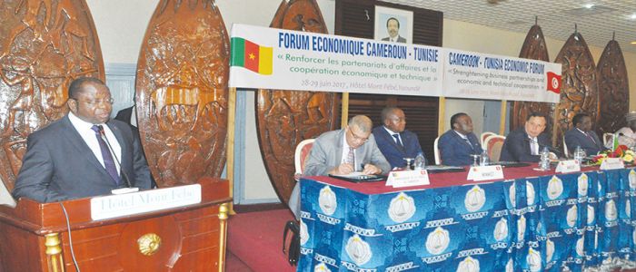 Cameroun-Tunisie: coup de fouet aux échanges