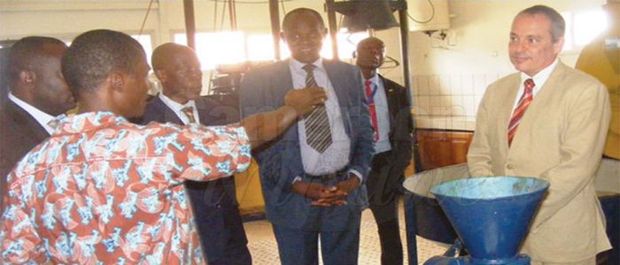 Agriculture: le savoir-faire israélien proposé Agriculture: le savoir-faire israélien proposé