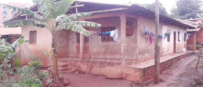 Financement: les tontines gagnent du terrain Financement: les tontines gagnent du terrain