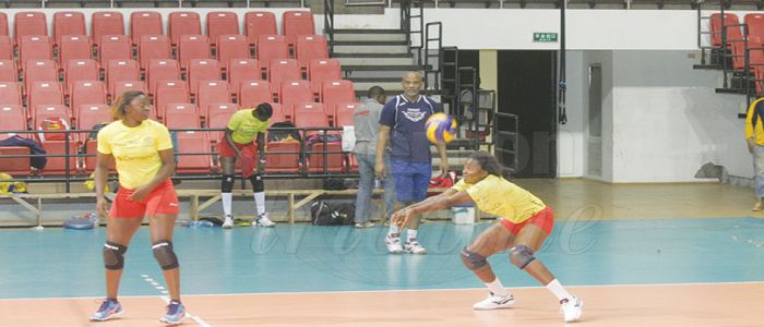 Volley-ball: le test de maturité pour le Cameroun