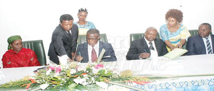 Dja Reserve Protection: Hydro-Mekin Takes Engagement